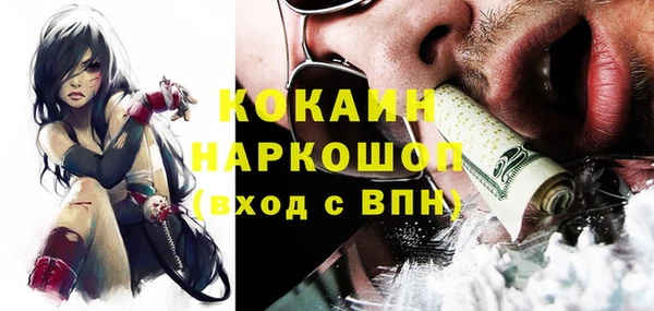 прущие грибы Абинск
