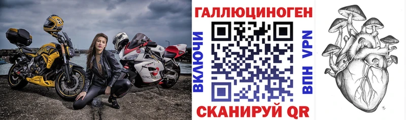 Псилоцибиновые грибы Psilocybe  купить закладку  Катайск 